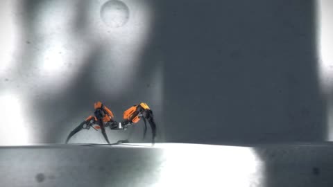 Experience of a lifetime with 2B